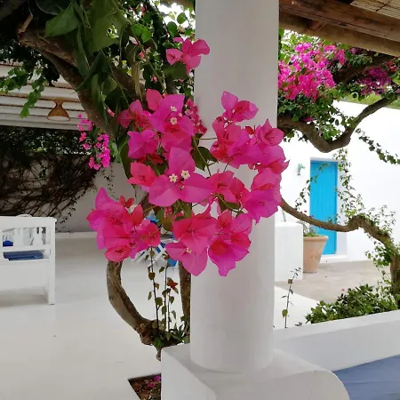 Casa Carlotta 3*