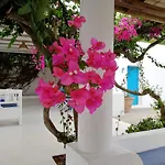 Casa Carlotta 3*